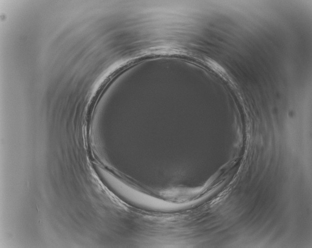 X0000057091334200509231640