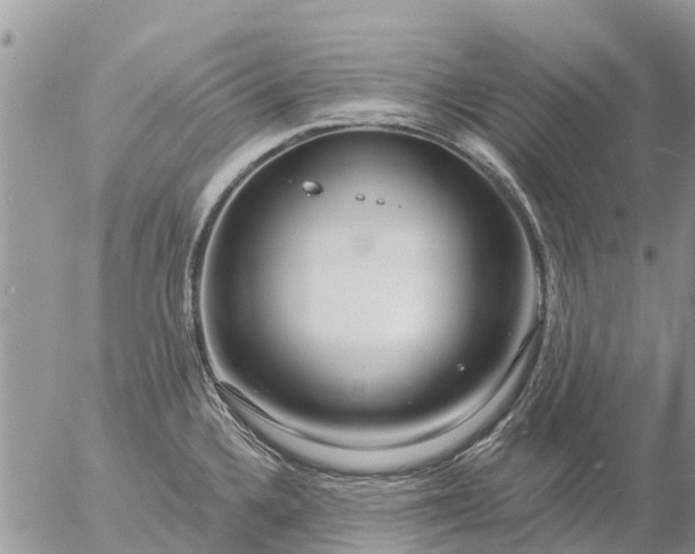 X0000057091336200509231640