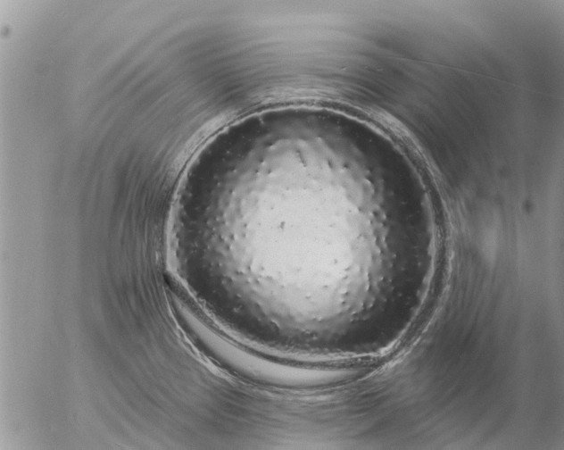 X0000057091337200509231640