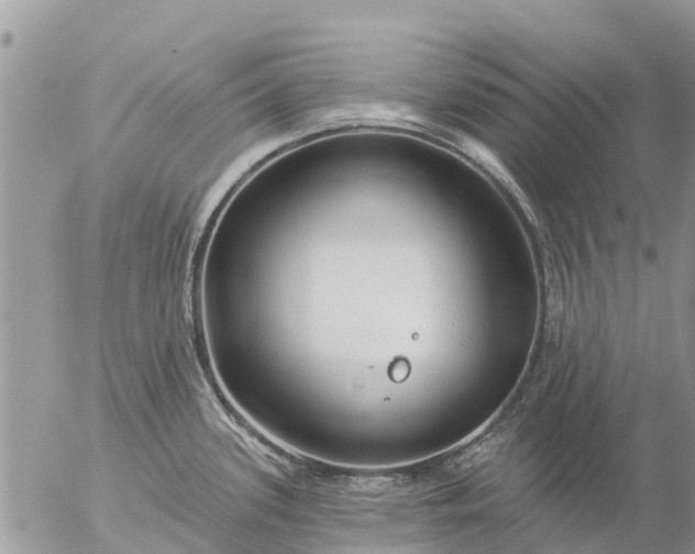 X0000057091339200509231640