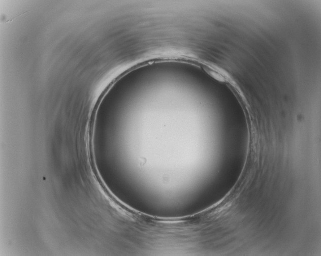 X0000057091343200509231640