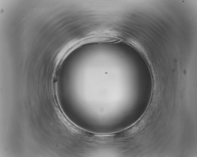 X0000057091344200509231640