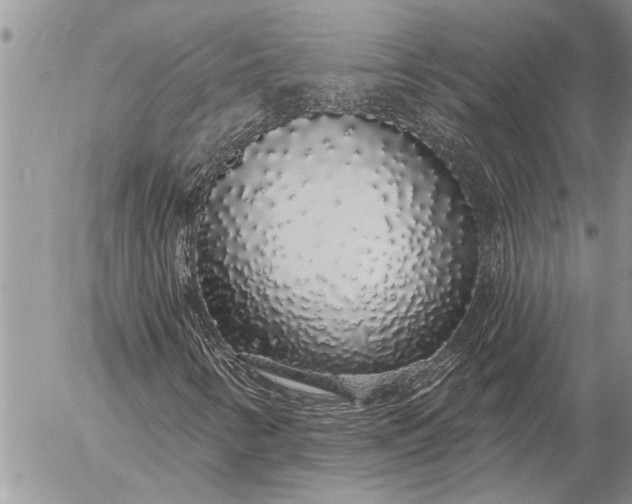 X0000057091346200509231639