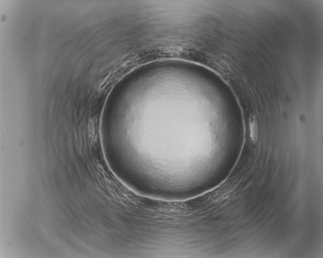 X0000057091347200509231639