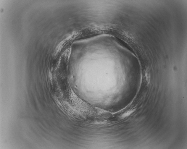 X0000057091348200509231639