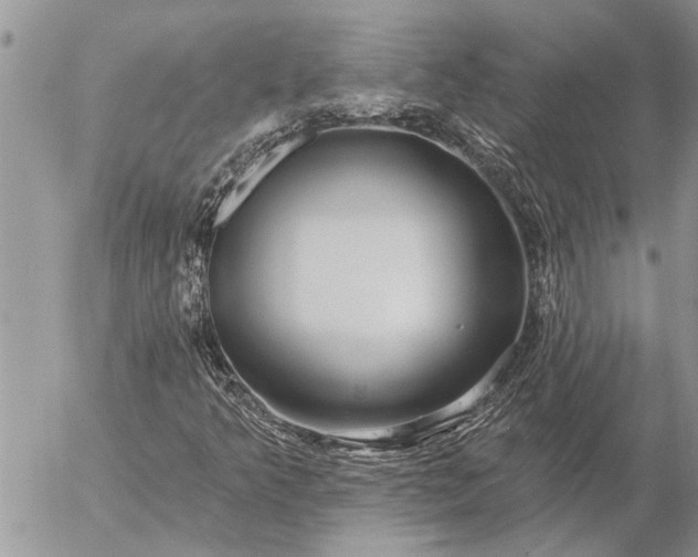 X0000057091349200509231639