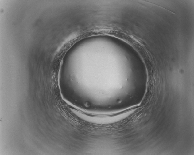 X0000057091351200509231639