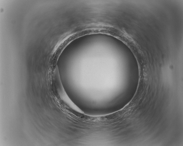 X0000057091352200509231639