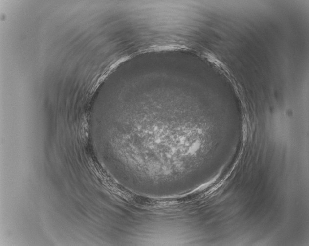 X0000057091353200509231639