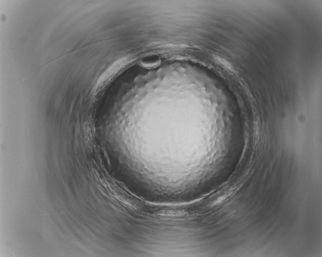 X0000057091354200509231639