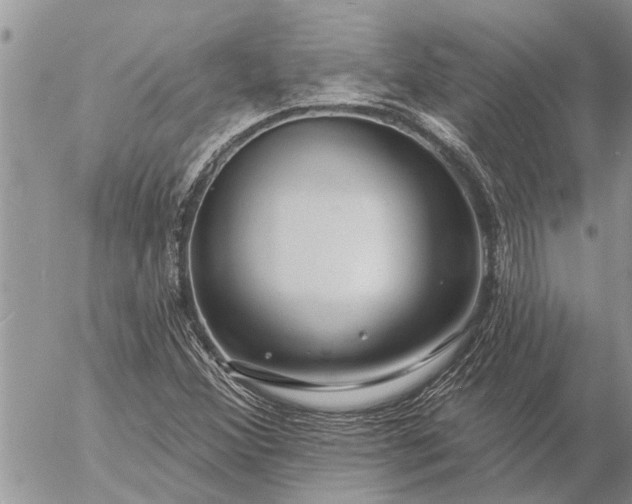 X0000057091356200509231639