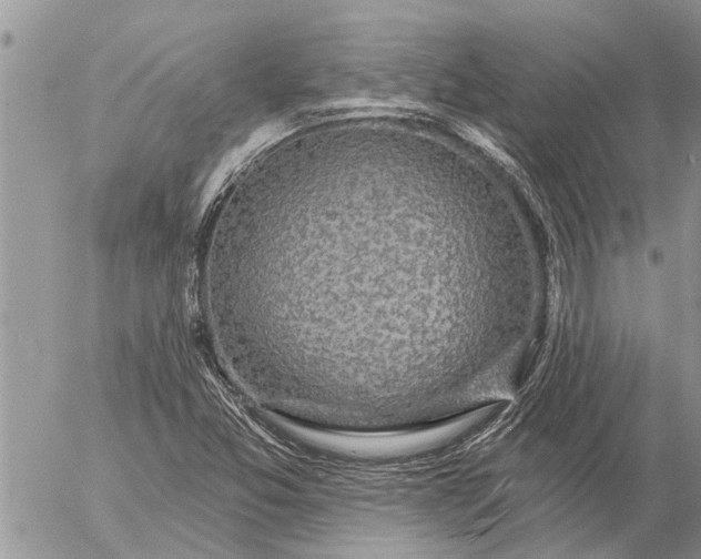 X0000057091357200509231639