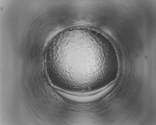 X0000057091358200509231639