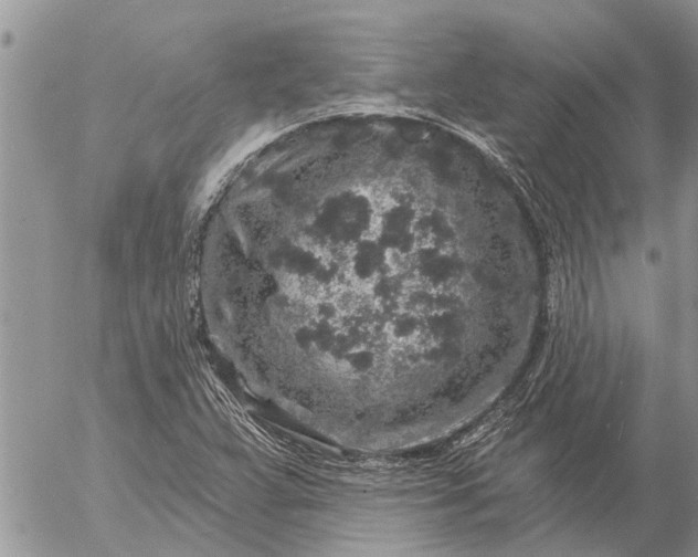 X0000057091359200509231639