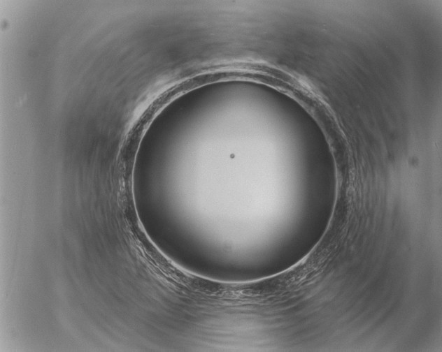 X0000057091360200509231639