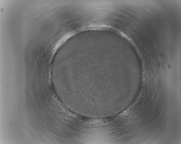 X0000057091362200509231639