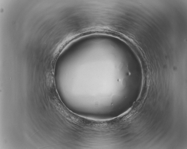 X0000057091363200509231639