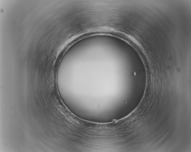 X0000057091364200509231639