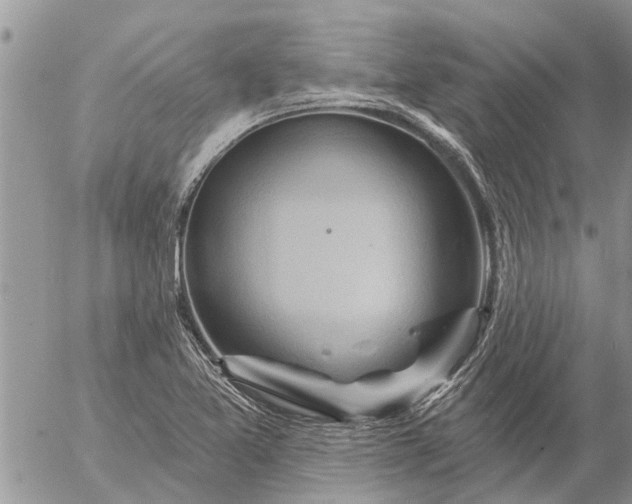 X0000057091365200509231639