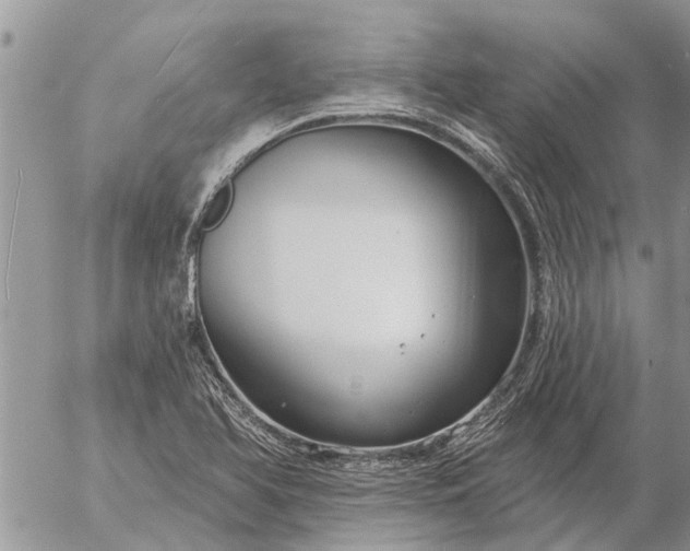 X0000057091366200509231639