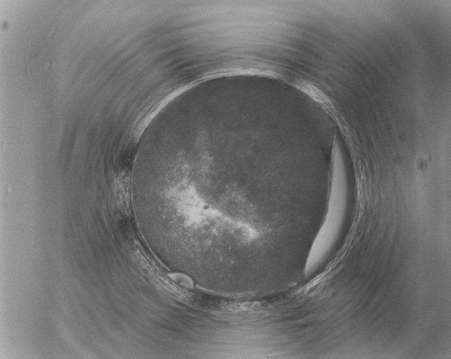 X0000057091369200509231639