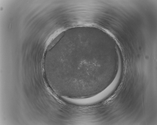 X0000057091373200509231639