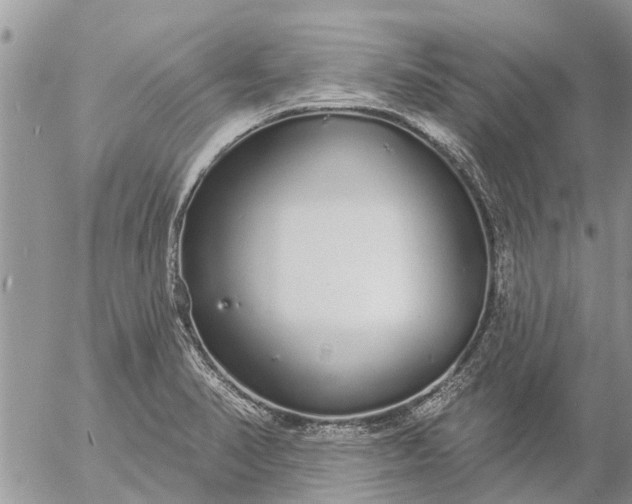 X0000057091374200509231639