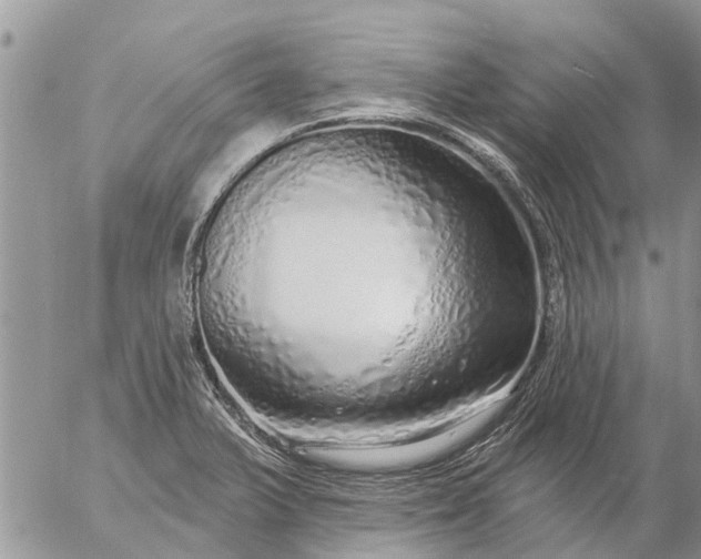 X0000057091375200509231639