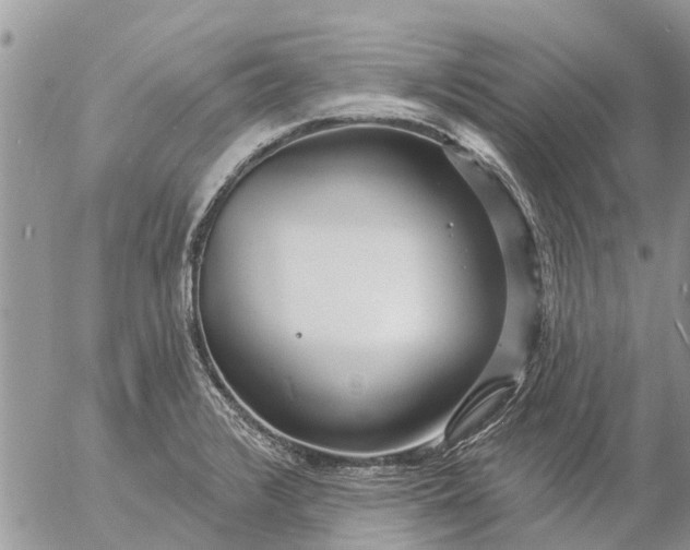 X0000057091376200509231639