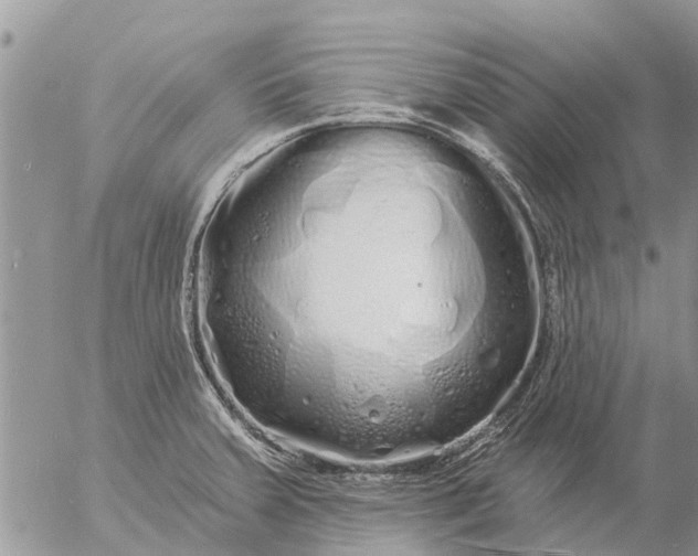 X0000057091379200509231639