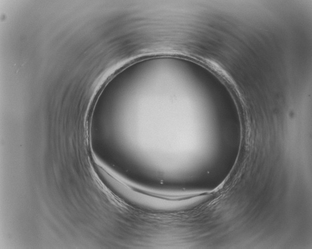 X0000057091380200509231639