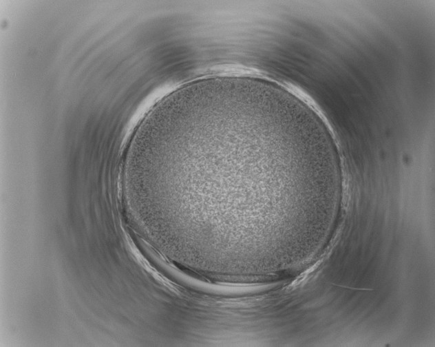 X0000057091381200509231639