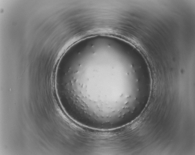 X0000057091382200509231639