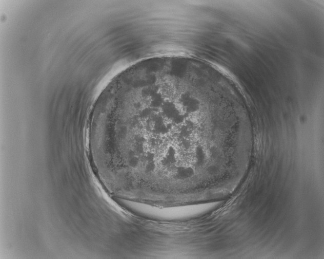 X0000057091383200509231639