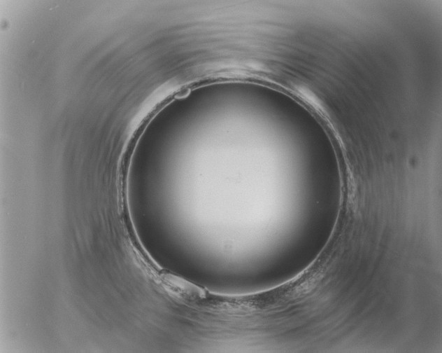 X0000057091384200509231638