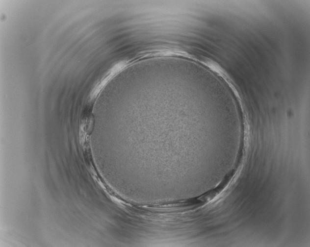 X0000057091385200509231638