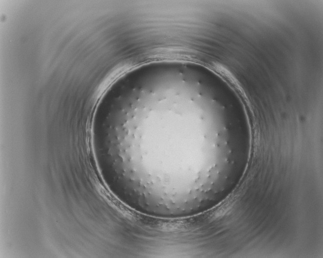 X0000057091386200509231638