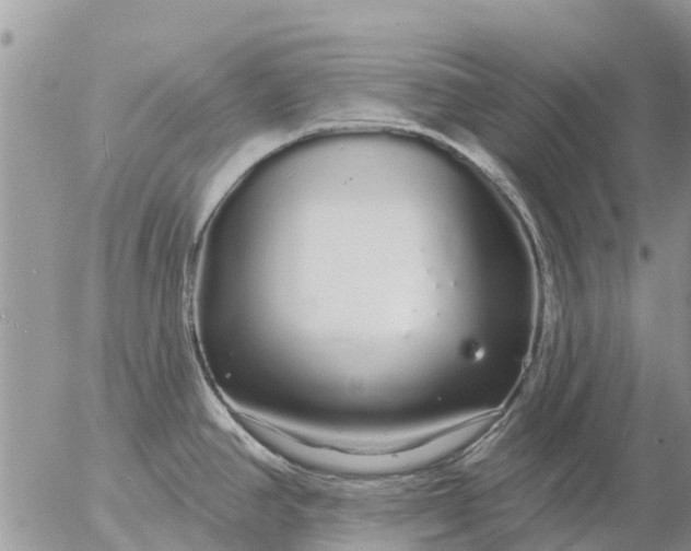 X0000057091390200509231638