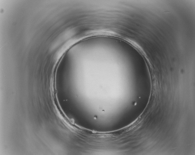 X0000057091391200509231638