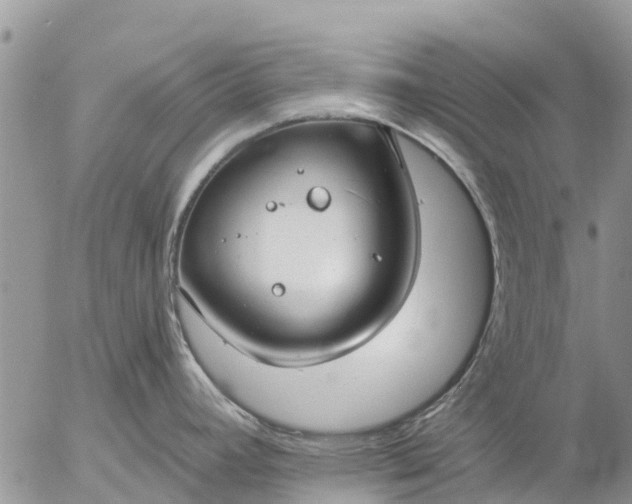 X0000057091392200509231638