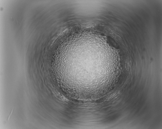 X0000057091393200509231637