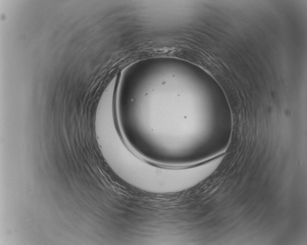 X0000057091394200509231637