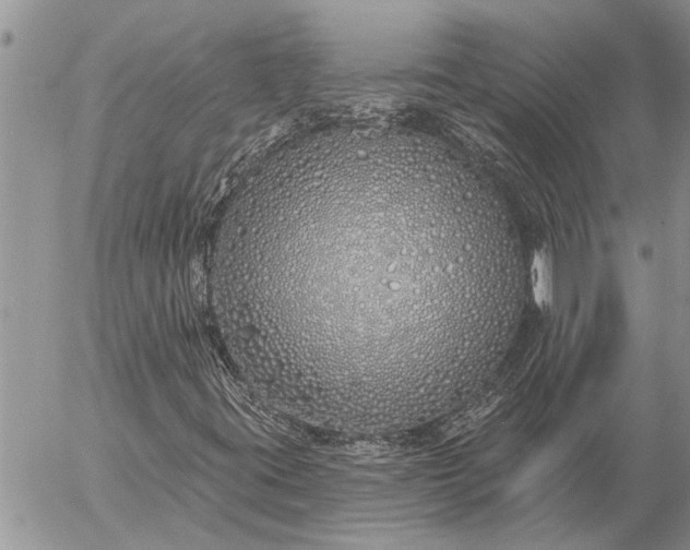 X0000057091395200509231637