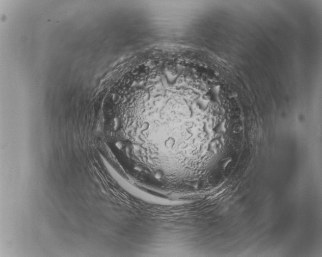 X0000057091397200509231638