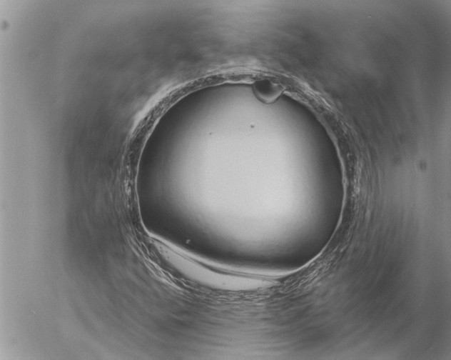 X0000057091400200509231638