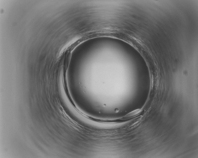 X0000057091402200509231638