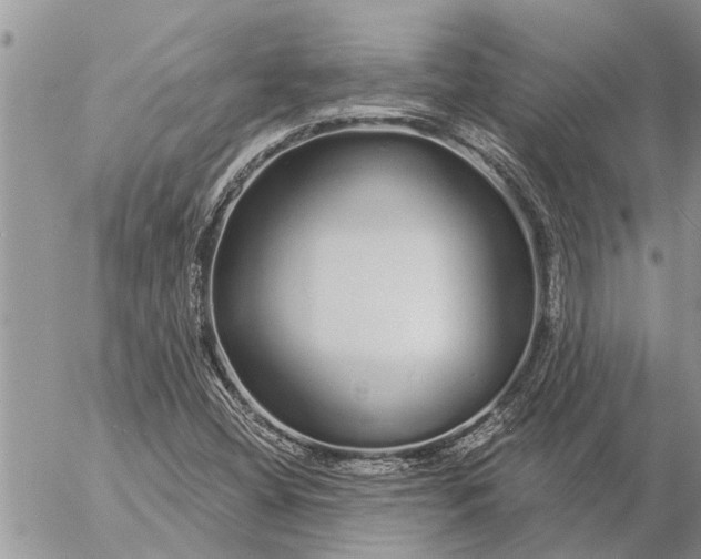 X0000057091404200509231638