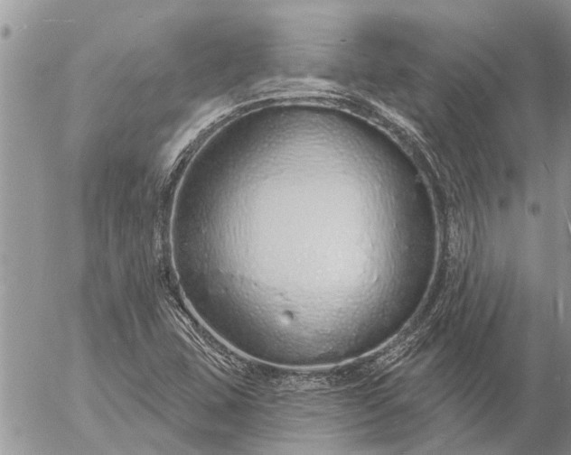 X0000057091407200509231638