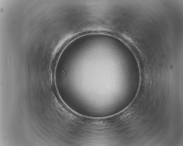 X0000057091408200509231638