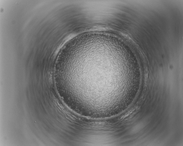 X0000057091409200509231638